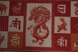 Astrology 9 Mantra Shawl