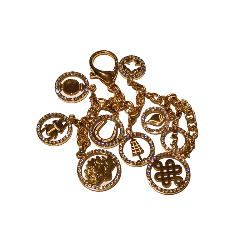 9 Charms Keychain