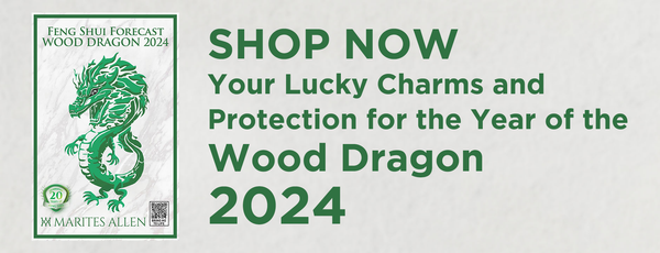 Shop Your Sign - Dragon