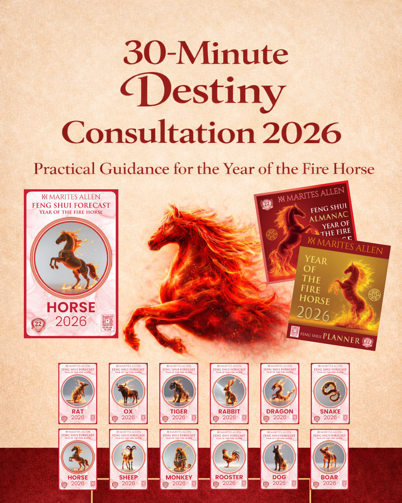 30-Minute Destiny Consultation 2026